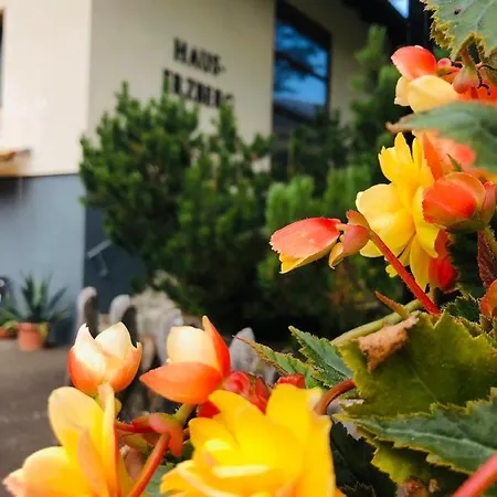 Haus-erzberg Bed & Breakfast 3*