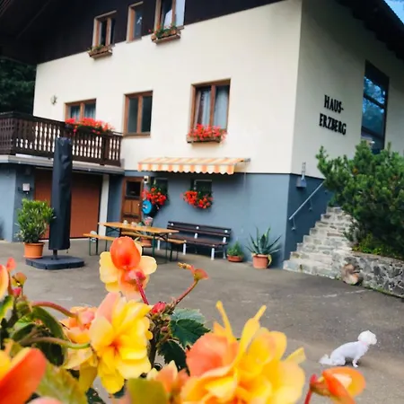 Haus-erzberg *