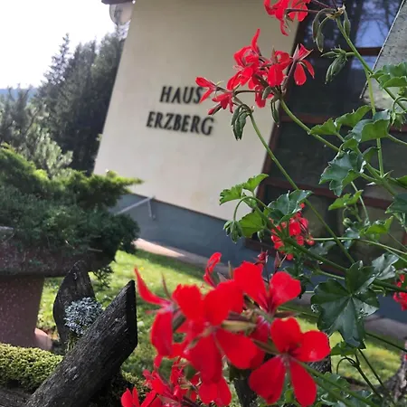 فندق مبيت وإفطار Haus-erzberg