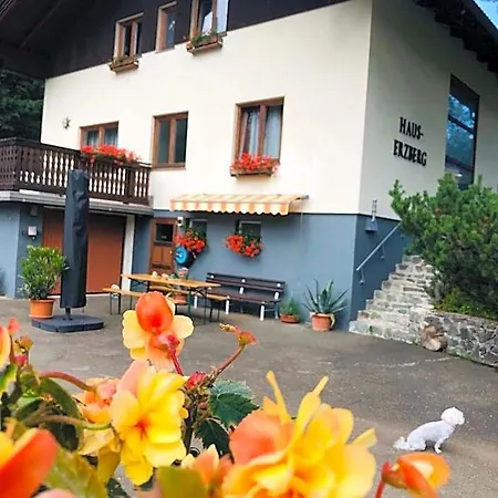 Bed & Breakfast Haus-erzberg 3*