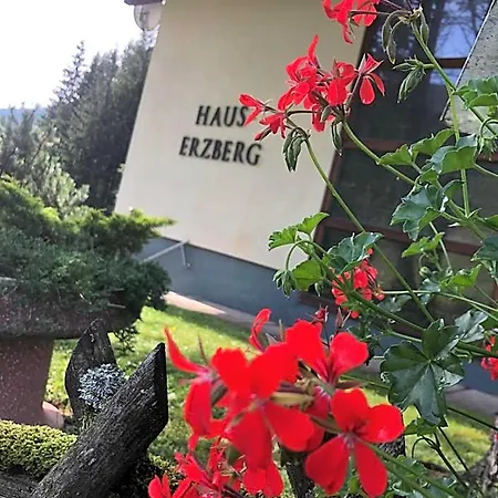 Bed & Breakfast Haus-erzberg 3*