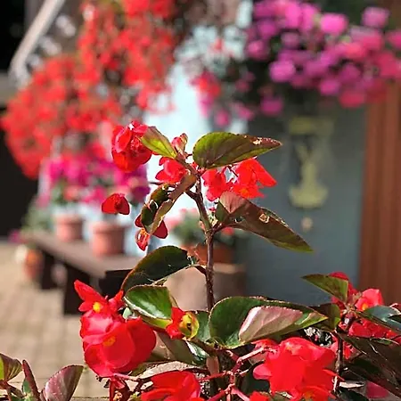 Haus-erzberg 3* Vordernberg