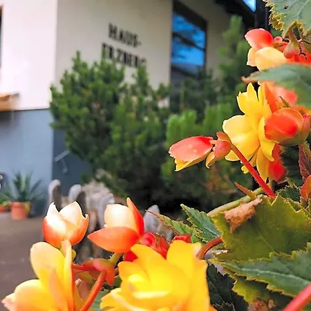 Haus-erzberg Bed & Breakfast 3*