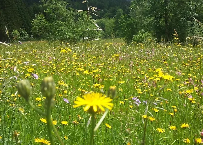 Haus-erzberg Bed & Breakfast 3*