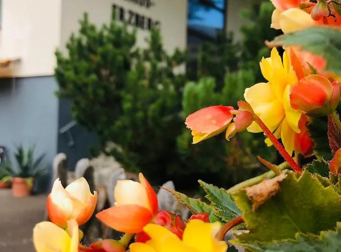 Haus-erzberg Bed & Breakfast 3*