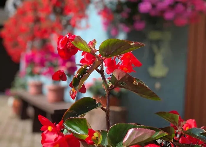 Haus-erzberg Vordernberg